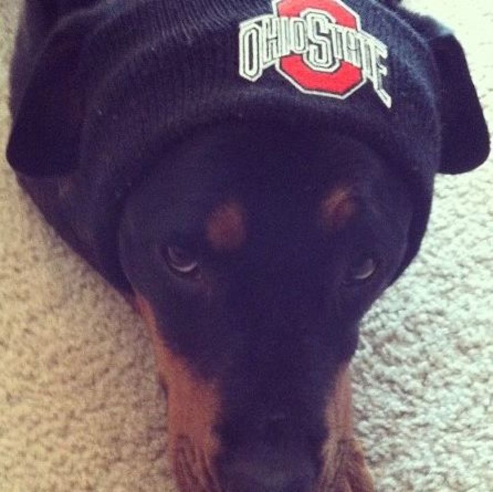 Meet your Posher, Kim